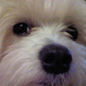 Meet your Posher, Raquel